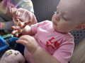 IMG_2025-05-27-09-47-46-330