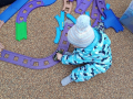 IMG-2026-02-24-11-12-16-395_ec23e7a8eab7b61d371998a3482da953