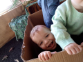 IMG-2026-04-07-09-17-56-866_02a3041859a45a64a97db6c452a6a1ce