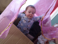 IMG-2026-04-07-09-20-55-475_d59b1215a18da639cbcbfdb2d691ce09