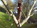 IMG-2026-03-27-14-47-05-935_88c73297745d8d2fb2f695b76c8c6c24