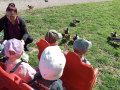 IMG-2026-04-30-09-57-21-712_487673dd5d9df0b89ee06bda4a78ff62